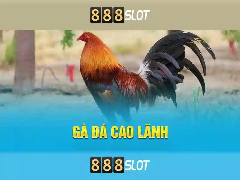 Giao diện nhà cái hoàn hảo