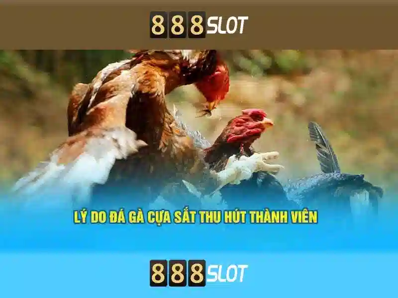 Tính năng nổi bật