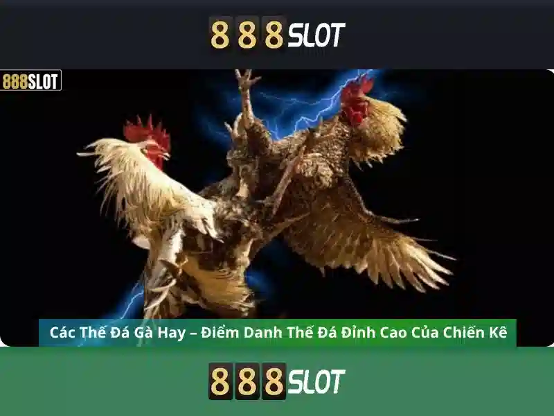 Giao diện nhà cái hoàn hảo