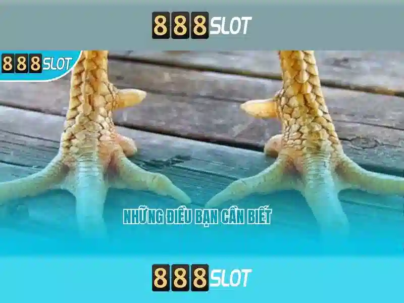 Giới thiệu về 888slot