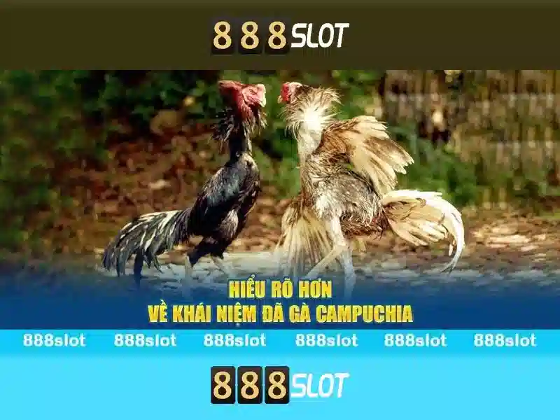 Hình ảnh ví và cơ chế thanh toán USDT