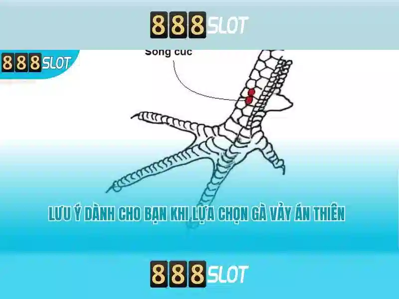 888slot-security