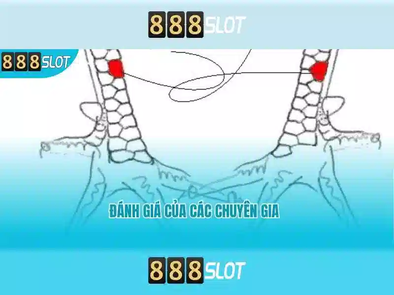 Giao diện nhà cái hoàn hảo