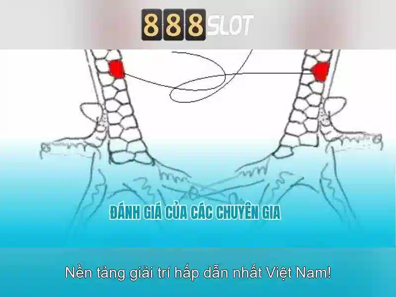 Giao diện người dùng và trải nghiệm