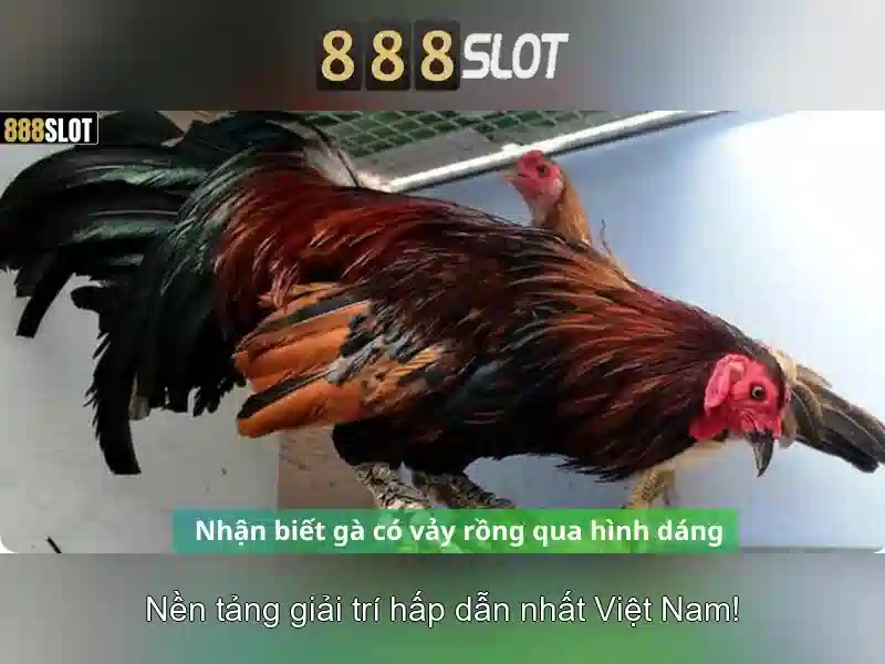 Giao diện nhà cái hoàn hảo