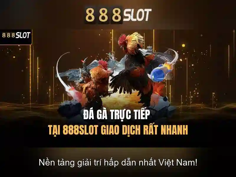 Giao diện nhà cái hoàn hảo