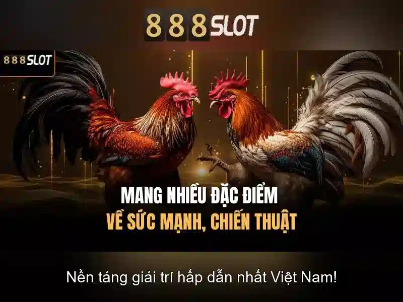 Giao diện nhà cái hoàn hảo